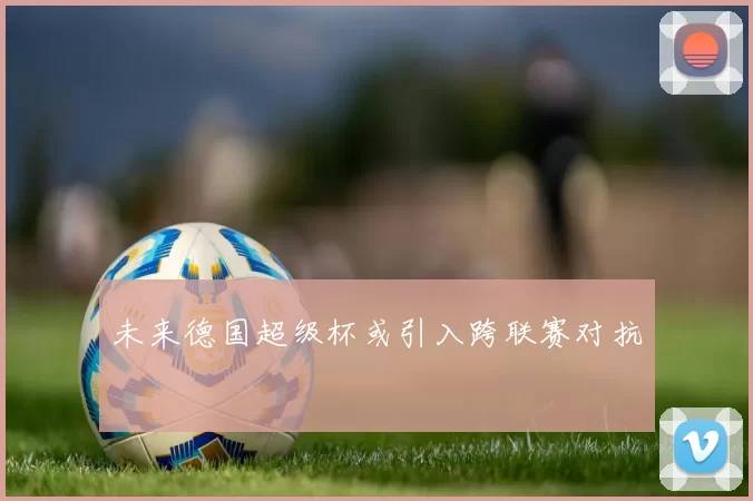 未来德国超级杯或引入跨联赛对抗