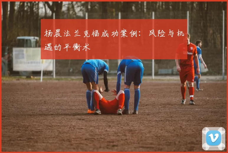 杨晨法兰克福成功案例：风险与机遇的平衡术
