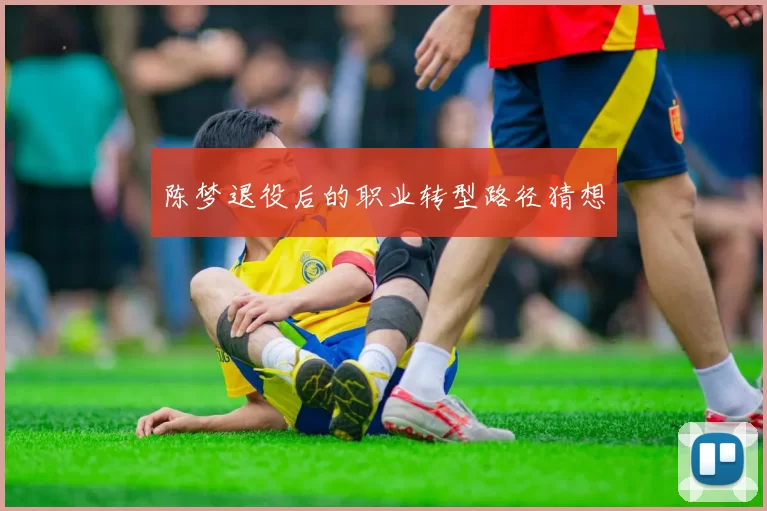 陈梦退役后的职业转型路径猜想